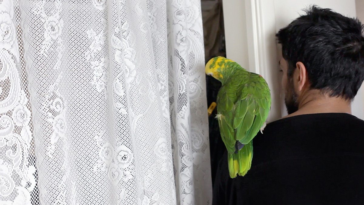 BABASH
Foto © Lisa Truttmann